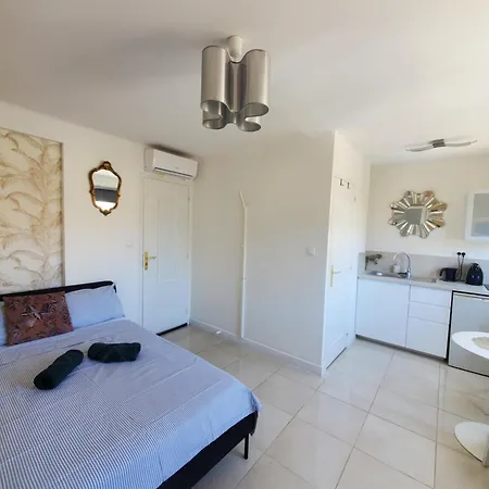 Centre Lumineux Et Chic, A 9 Min A Pied Du Palais Des Festivals Et Des Plages, Clim Cannes